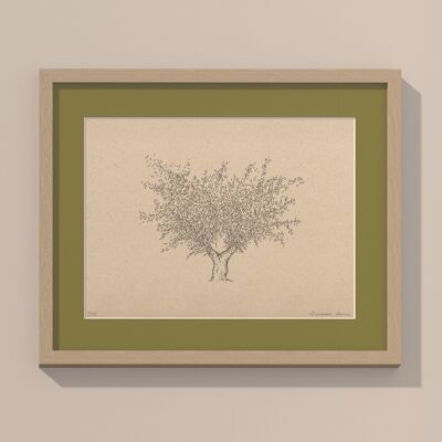 Drucken Olivenbaum mit Passepartout und Rahmen | 24cm x 30cm | Olivo