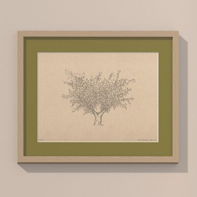 Stampa Olivo con passe-partout e cornice | 24 cm x 30 cm | Olivo