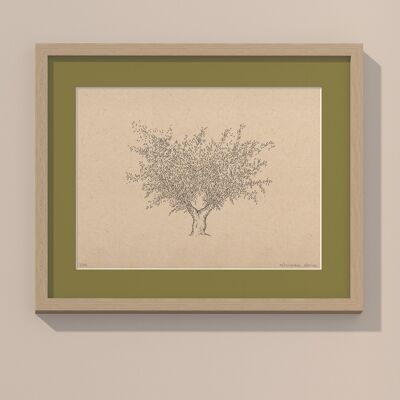 Print Olive tree with passe-partout and frame | 24cm x 30cm | Olivo