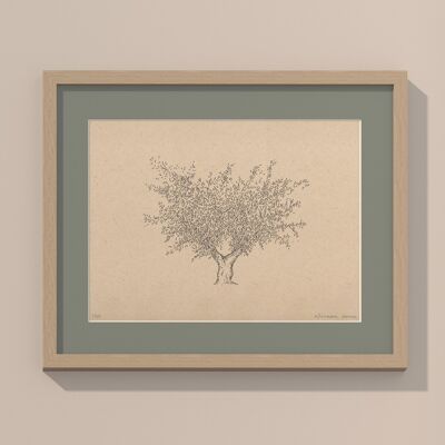 Print Olive tree with passe-partout and frame | 24cm x 30cm | salvia