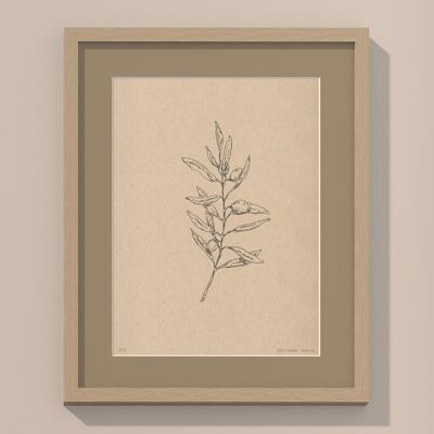 Print Olive branch with passe-partout and frame | 24cm x 30cm | lino