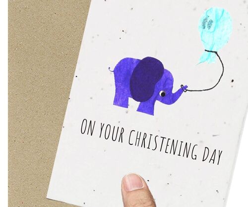 Christening Elephant Boy or Girl