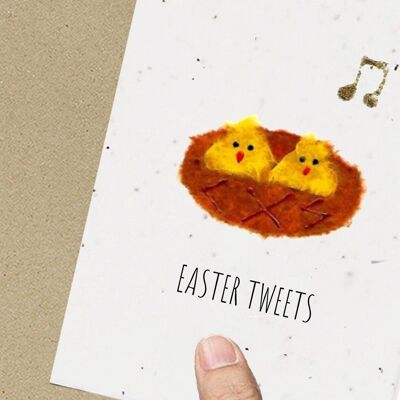 Eco Friendly Easter Card Chickens Seeded Recycled kids