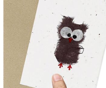 Carte ensemencée écologique Happy Owl 1