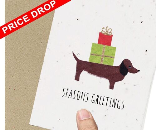 DISCOUNT Festive Sausage Dog Eco friendly Seeded