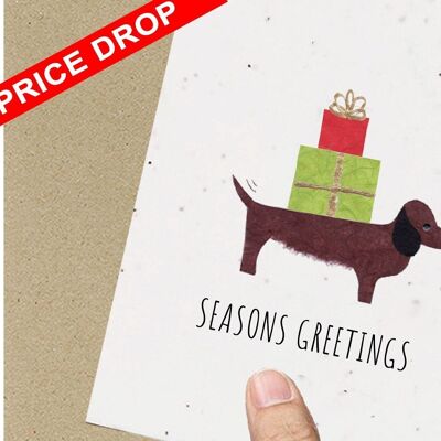 DISCOUNT Festive Sausage Dog Eco friendly Seeded