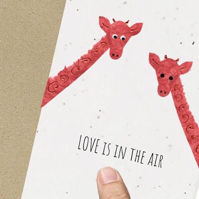 Amanti della giraffa, matrimonio, fidanzamento, San Valentino, anniversario