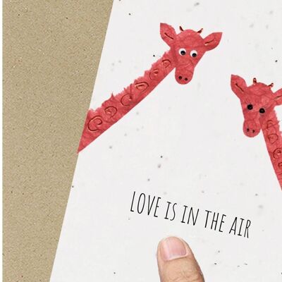 Amantes de la jirafa, boda, compromiso, San Valentín, aniversario