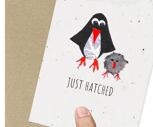 Penguin Baby Card