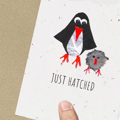 Penguin Baby Card