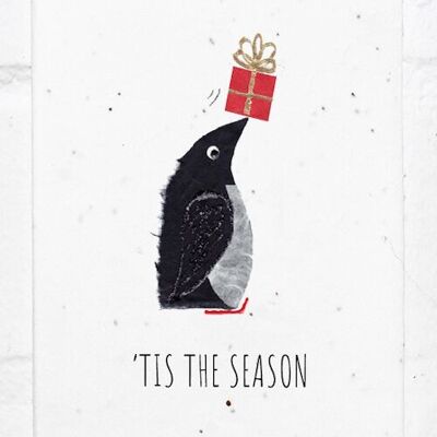 Carte de pingouin de vacances festives, écologique, plantable ensemencée