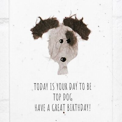 Carte d'anniversaire Top Dog, écologique, plantable, ensemencée