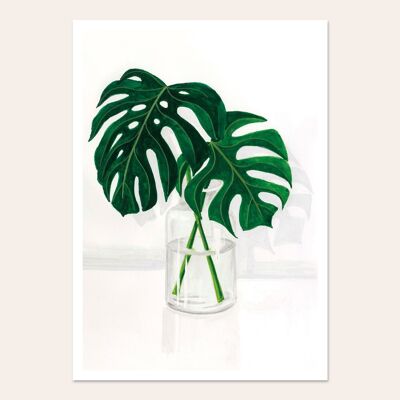 Affiche Monstera