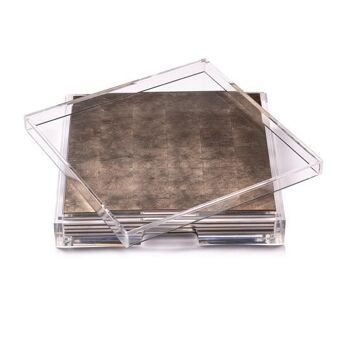 Placebox Clear Silver Leaf Chic Matte Taupe 1