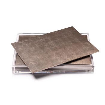 Servebox Clear Silver Leaf Chic Matte Taupe 2