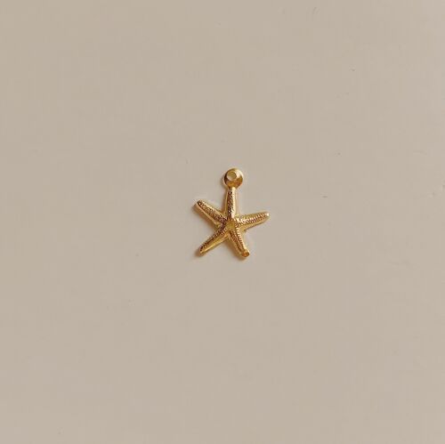 Starfish Charm (1PCS) - 14K Gold-Filled