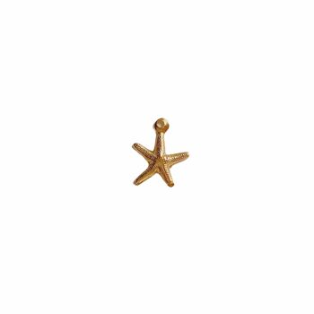 Charm étoile de mer (1PCS) - Argent sterling 2