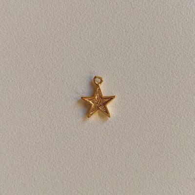 Charme étoile (1PCS)