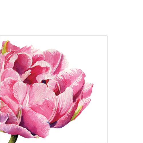 Pink Parrot Tulip Napkin 25x25