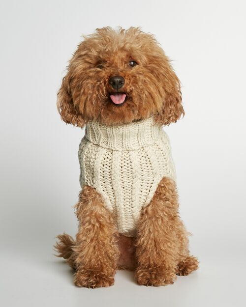 John B. Wool and Cashmere Dog Sweater - Vanilla