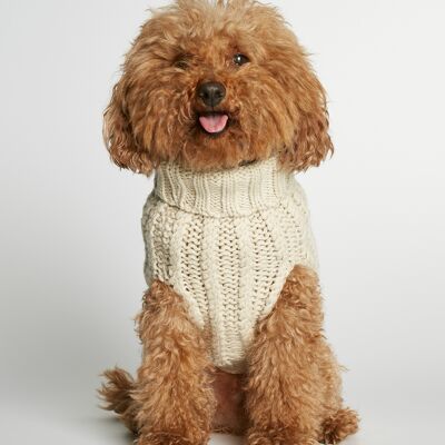 Pull pour chien en laine et cachemire John B. - Vanille