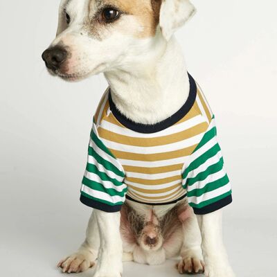 David Gelbes und grünes Hunde-T-Shirt aus Bio-Baumwolle