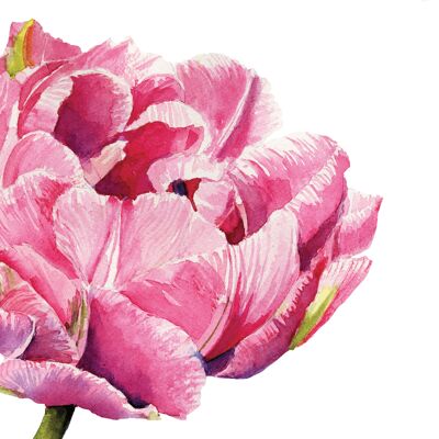 Pink Parrot Tulip Napkin 33x33