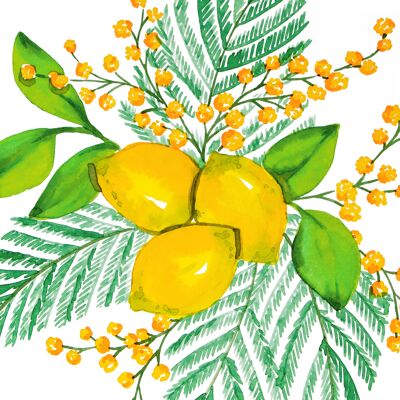 Serviette Citron & Mimosa 33x33