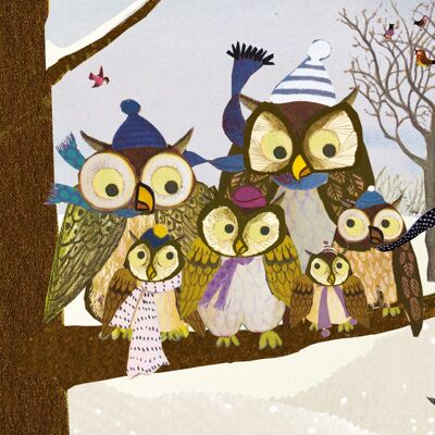 postcard owl family winter