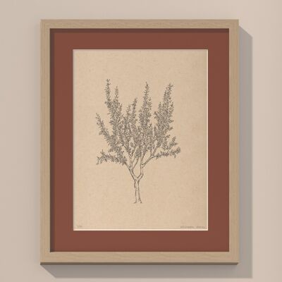 Print Almond tree with passe-partout and frame | 24cm x 30cm | Casa Otellic
