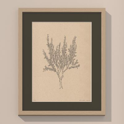 Print Almond tree with passe-partout and frame | 24cm x 30cm | Cavolo Nero