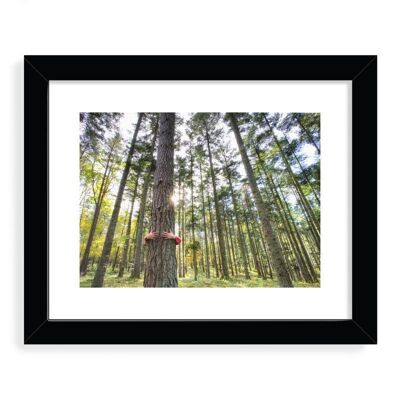 Treehugging Designer Framed Art Print