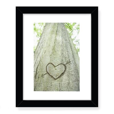 Heart carved in a tree Framed Art Print