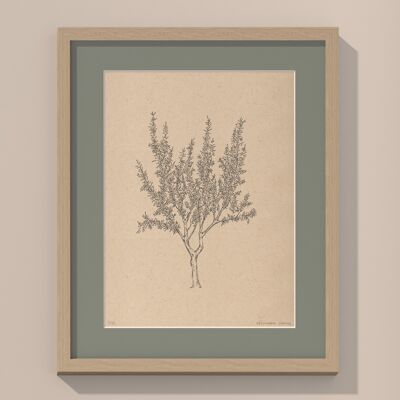 Print Almond tree with passe-partout and frame | 24cm x 30cm | salvia