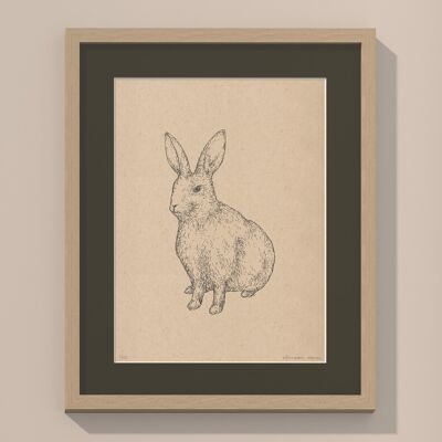 Stampa Coniglio con passepartout e cornice | 24 cm x 30 cm | Cavolo Nero