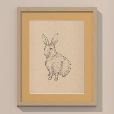 Print Rabbit with passe-partout and frame | 24cm x 30cm | noce