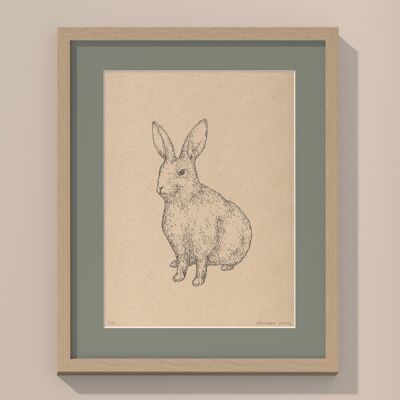 Print Rabbit with passe-partout and frame | 24cm x 30cm | salvia