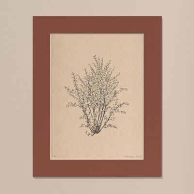 Print Hazelnut tree with passe-partout | 24cm x 30cm | Casa Otellic