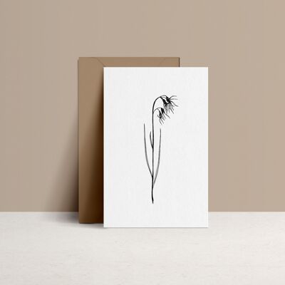 Buy wholesale ANEMONE - double card and Kraft envelope
