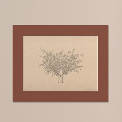Print Olive tree with passe-partout | 24cm x 30cm | Casa Otellic