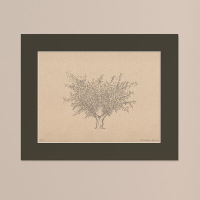 Print Olive tree with passe-partout | 24cm x 30cm | Cavolo Nero