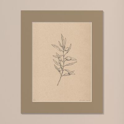 Print Olive branch with passe-partout | 24cm x 30cm | lino