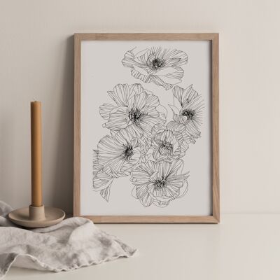 Pivoine - Affiche A4