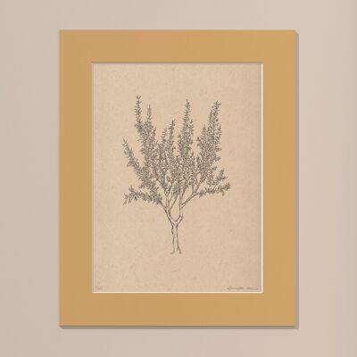 Print Almond tree with passe-partout | 24cm x 30cm | noce