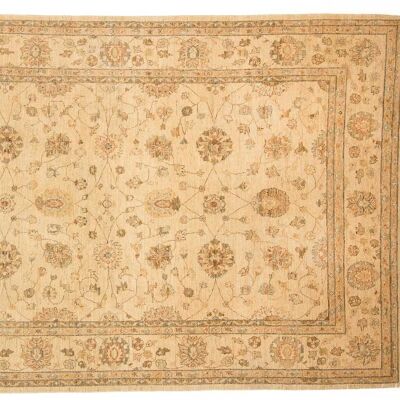 Afghan Chobi Ziegler 316x206 hand-knotted carpet 210x320 beige, oriental, short pile