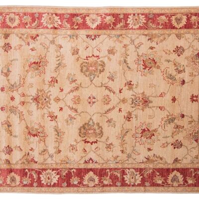 Afghan Chobi Ziegler 216x152 hand-knotted carpet 150x220 beige, oriental, short pile