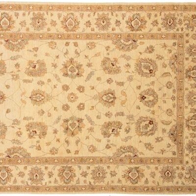 Afghan Chobi Ziegler 304x206 hand-knotted carpet 210x300 beige, oriental, short pile