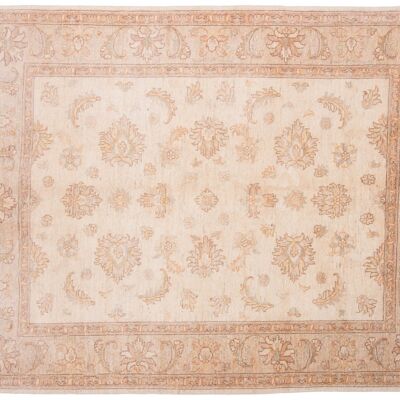 Afghan Chobi Ziegler 205x165 hand-knotted carpet 170x210 beige, oriental, short pile