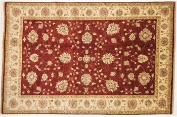 Tapis Afghan Chobi Ziegler 300x201 noué main 200x300 rouge oriental poil court 1