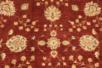 Tapis Afghan Chobi Ziegler 300x201 noué main 200x300 rouge oriental poil court 2